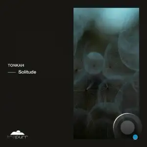 Tonkah - Solitude (2024) 