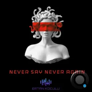  Ertan Koculu - Never Say Never Again (2024) 