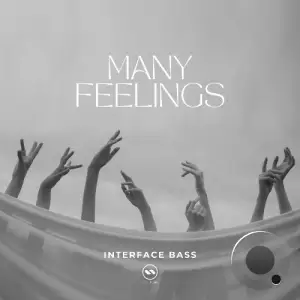  Interface Bass - Many Feelings (2024) 