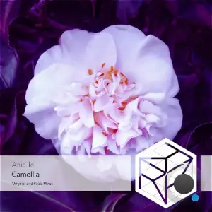  Anicille - Camellia (2024) 