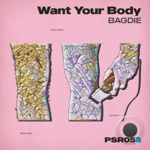  Bagdie - Want Your Body (2024) 