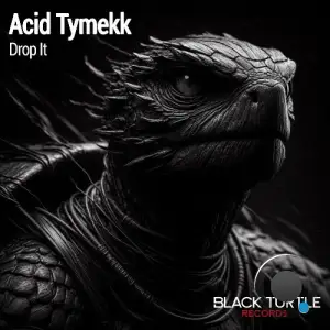  Acid Tymekk - Drop It (2024) 