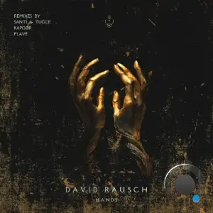  David Rausch - Hands (2024) 