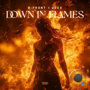  B-Front & Udex - Down In Flames (2024) 