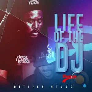  Citizen Sthee - Life of the DJ (2024) 
