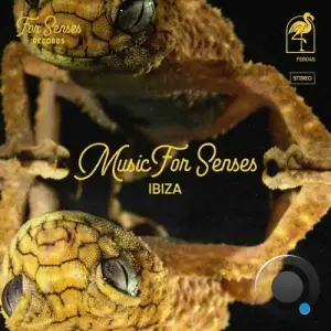  Music for Senses - IBIZA 2024 (2024) 