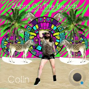  Colin - Zebra On The Beach (Beach House Remix) (2024) 
