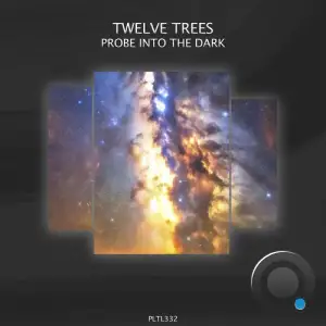  Twelve Trees - Probe into the Dark (2024) 