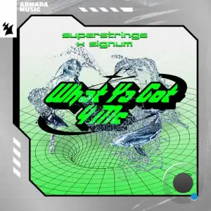  Superstrings & Signum - What Ya Got 4 Me (2024) 