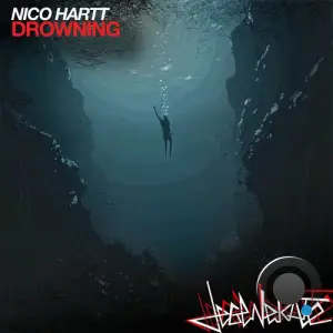  Nico Hartt - Drowning (2024) 