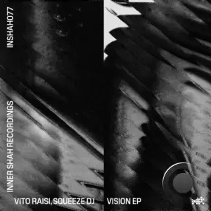  Vito Raisi & Squeeze DJ - Vision (2024) 