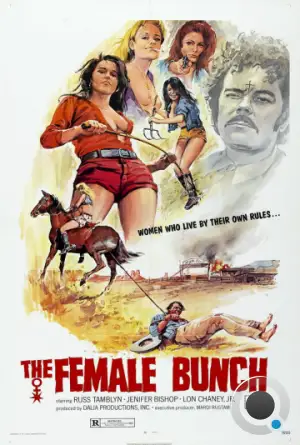 Женская компания / The Female Bunch (1971) L1