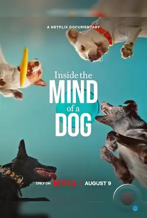 О чем думают собаки / Inside the Mind of a Dog (2024)