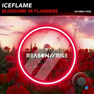  IceFlame - Blossoms In Flanders (2024) 