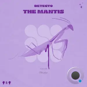  Perfecto Vs. Datlash & Detecto - The Mantis (2024) 