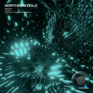  Northern Cold - Blackout (2024) 