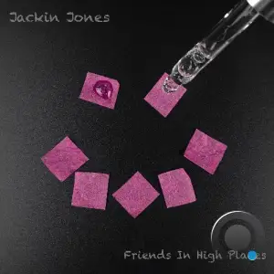  Jackin Jones - Friends In High Places (2024) 