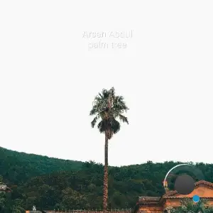  Arsen Abdul - Palm Tree (2024) 