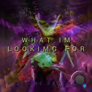  Bassline Brothers - What I'm Looking For (2024) 