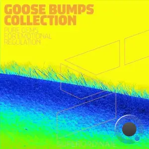  Goose Bumps Collection, Vol. 12 (2024) 