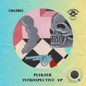  Plekzer - Introspective (2024) 