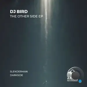  DJ Bird - The Other Side (2024) 