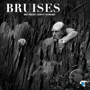  Bruises - Grey Matter / Ivory (2024) 