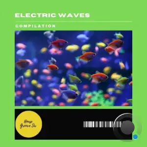  Plantonich - Electric Waves (2024) 