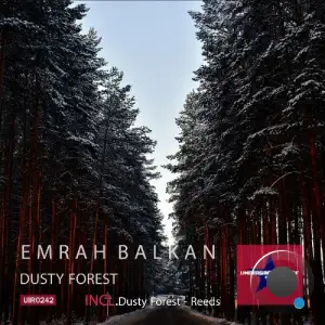  Emrah Balkan - Dusty Forest (2024) 