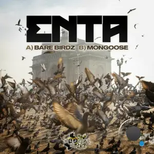  Enta - Bare Birdz / Mongoose (2024) 