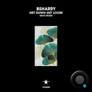  Bsharry - Get Down Get Loose (Rave Mixes) (2024) 