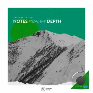  Notes from the Depth, Vol. 30 (2024) 