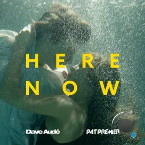  Dave Aude x Pat Premier - Here Now (2024) 