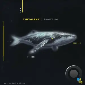  TINYgiant - Phayana (2024) 