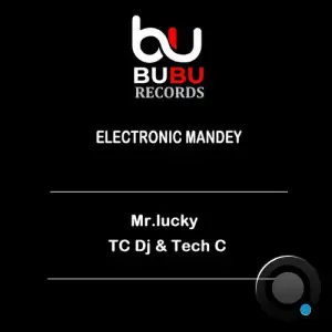  Mr.Lucky - Electronic Mandey (2024) 