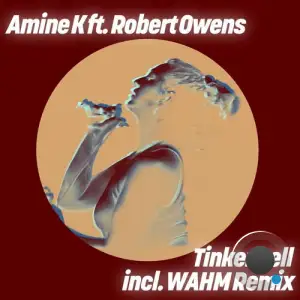  Amine K (Moroko Loko) ft Robert Owens - Tinker Bell (2024) 