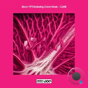  Since 1973 ft Crave Music - CLMB (2024) 