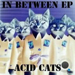  Acid Cats - In Between (2024) 