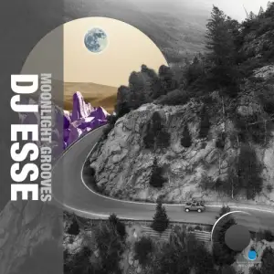  DJ Esse - Moonlight Groove (2024) 