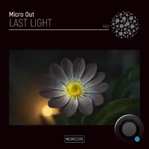  Micro Out - Last Light (2024) 