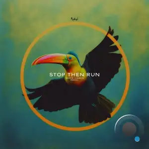  Javier Labarca - Stop Then Run (2024) 