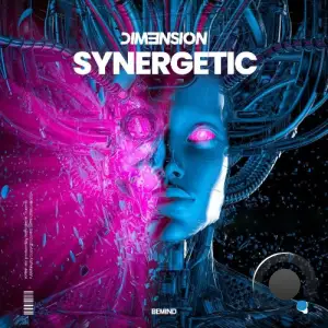  DIM3NSION - Synergetic (2024) 