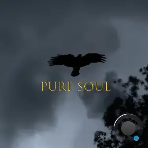  TEVALIK - Pure Soul (2024) 