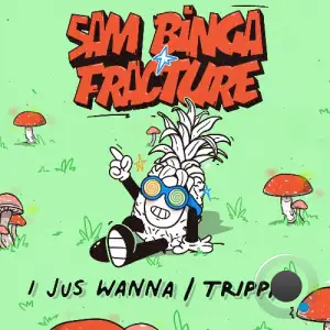  Sam Binga & Fracture - I Jus Wanna / Trippin (2024) 