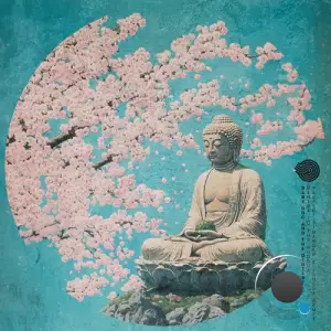  Baby Doc & The Dentist - Mantra to the Buddha (Perfect Stranger and Sphera Remix) (2024) 