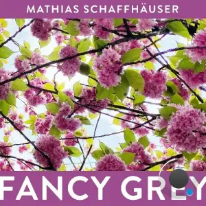  Mathias Schaffhäuser - Fancy Grey (2024) 