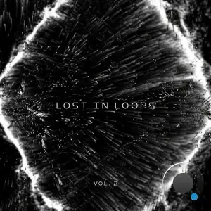  Lost In Loops Vol 2 (2024) 