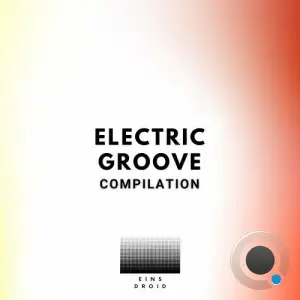  Danne Fisher - Electric Groove (2024) 