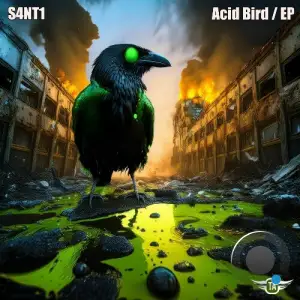  S4NT1 - Acid Bird (2024) 