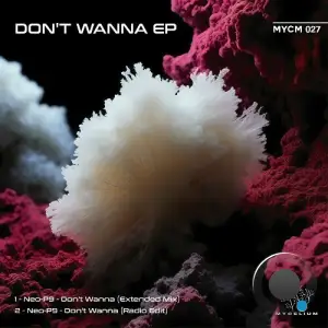  Neo-P9 - Don't Wanna (2024) 